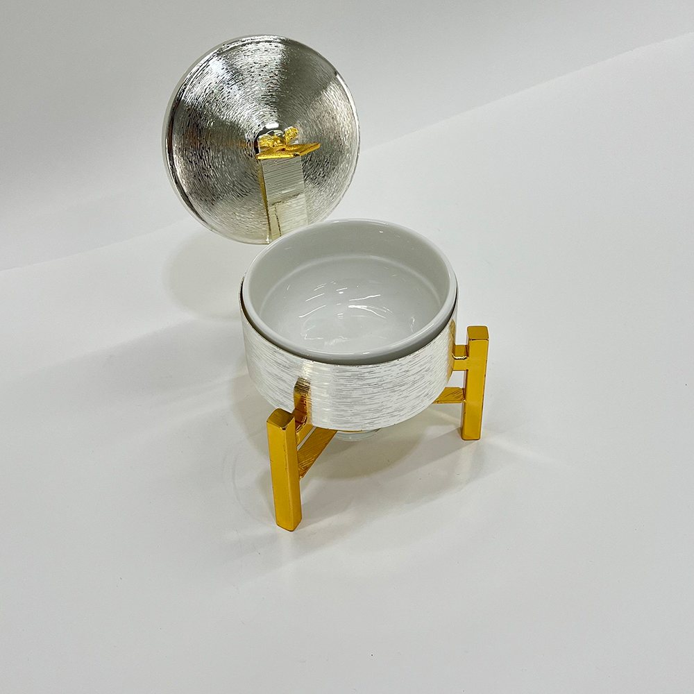 سخان تقدم طعام ميني