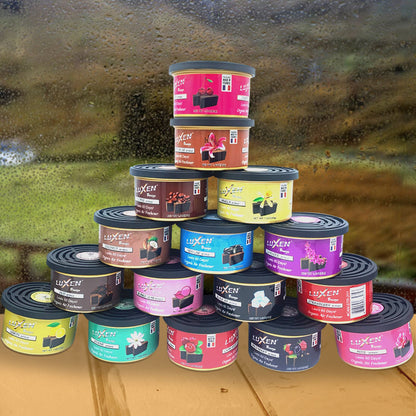 Luxen Breeze Air Fresheners For Car Home With Vented Lid Long Lasting Eco Friendly