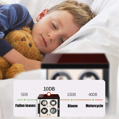 صندوق عرض  4 ساعة