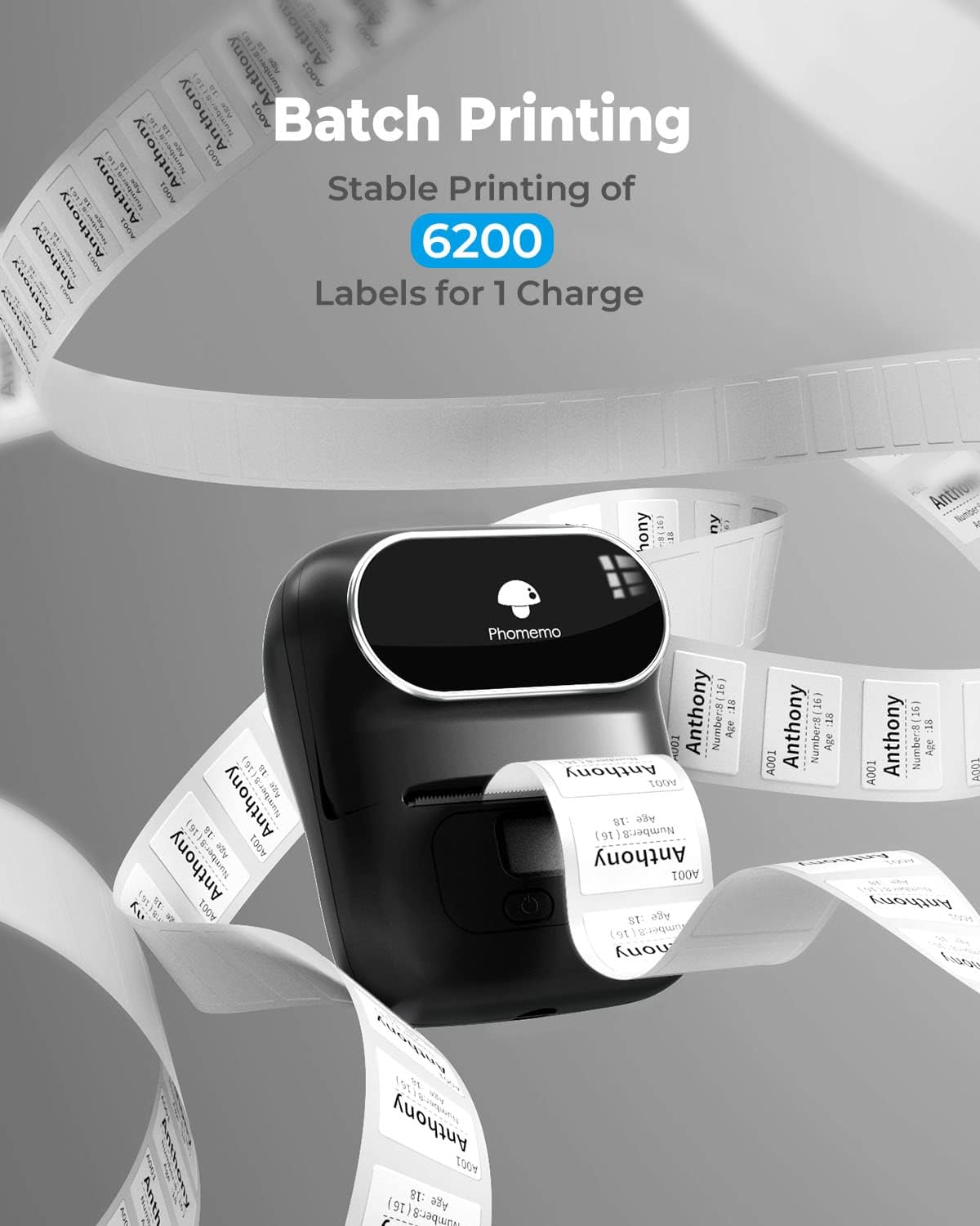 صانع ملصقات الطابعة Phomemo M110 2